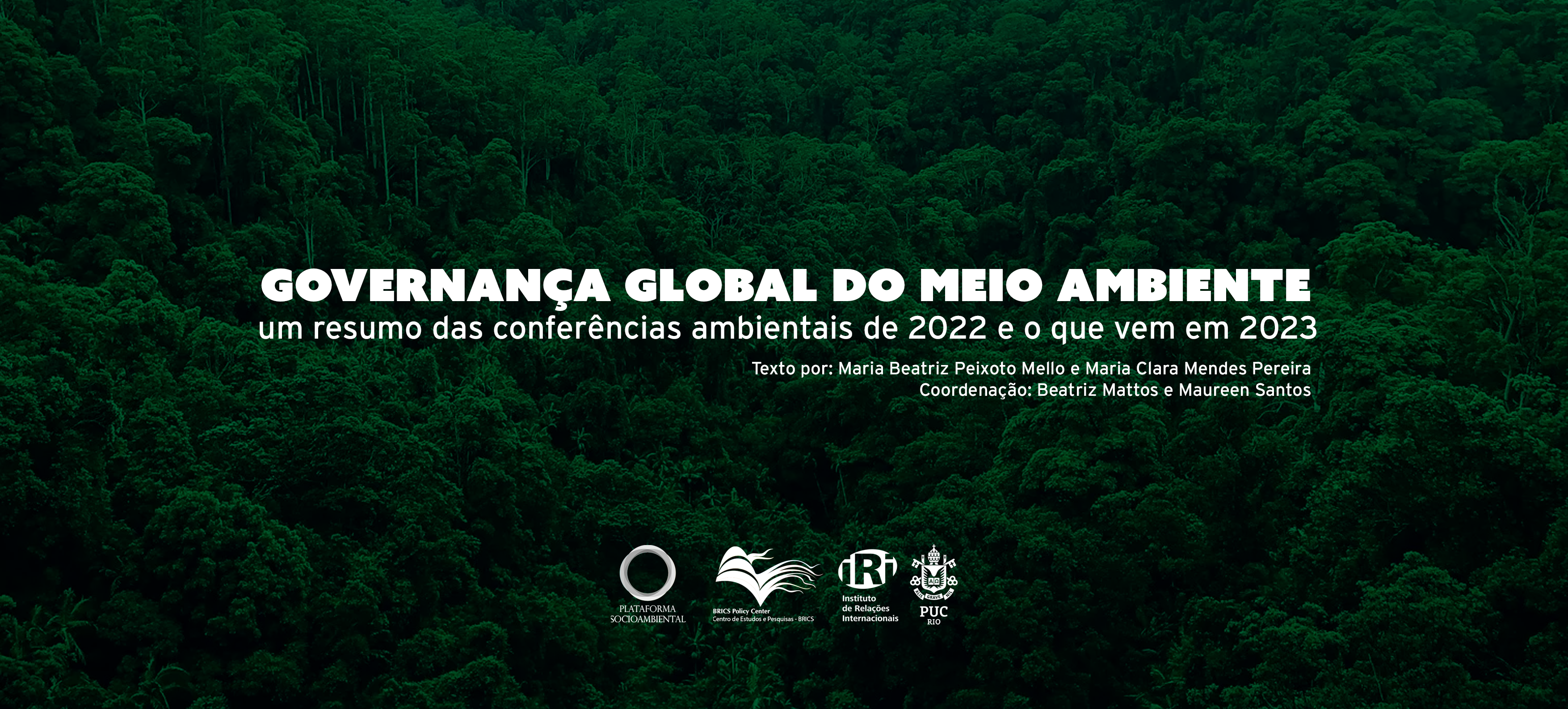 Governança global do meio ambiente: um resumo das conferências ambientais  de 2022 e o que vem em 2023 – IRI – Instituto de Relações Internacionais
